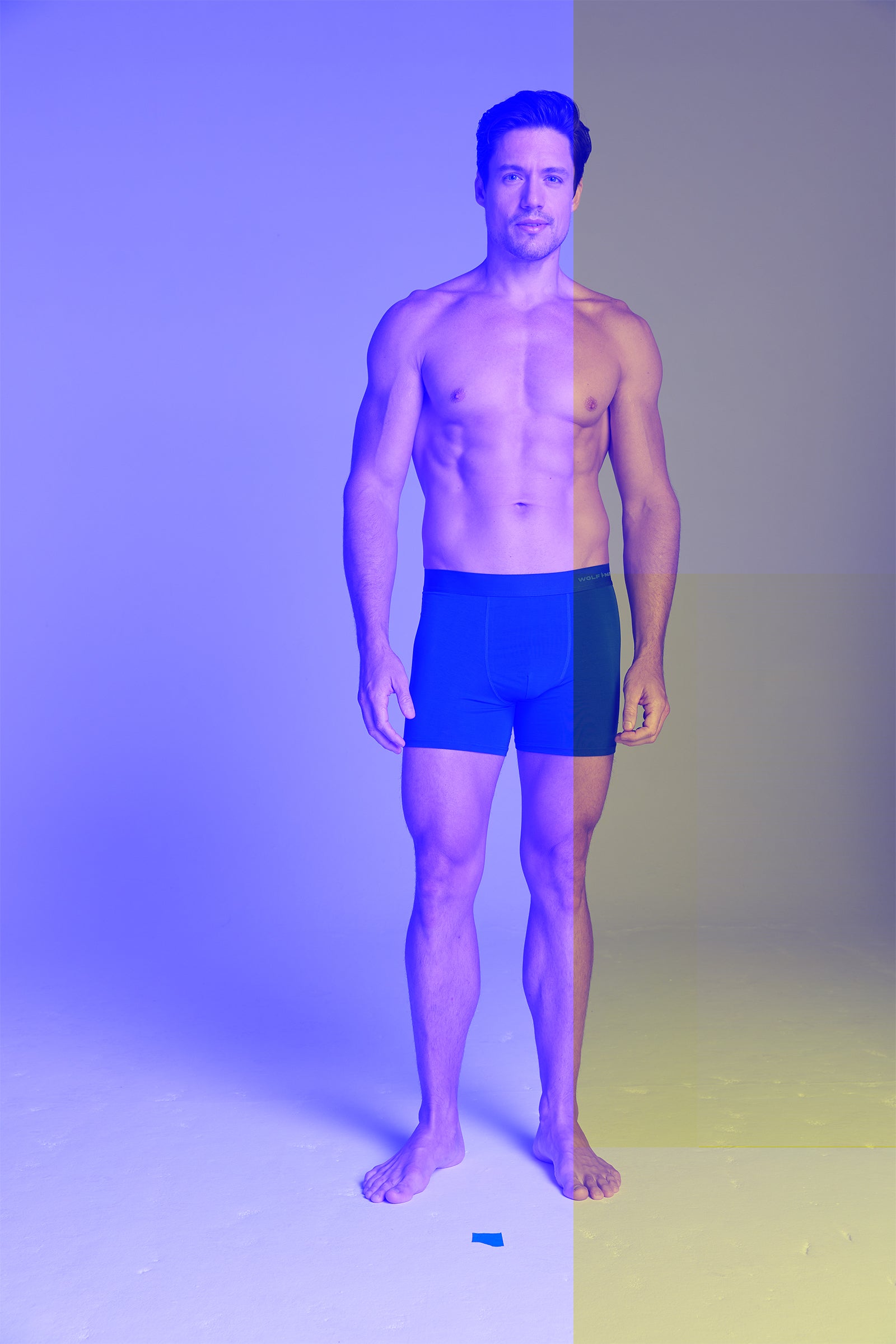 Men's Cotton Modal Blend Boxer Brief